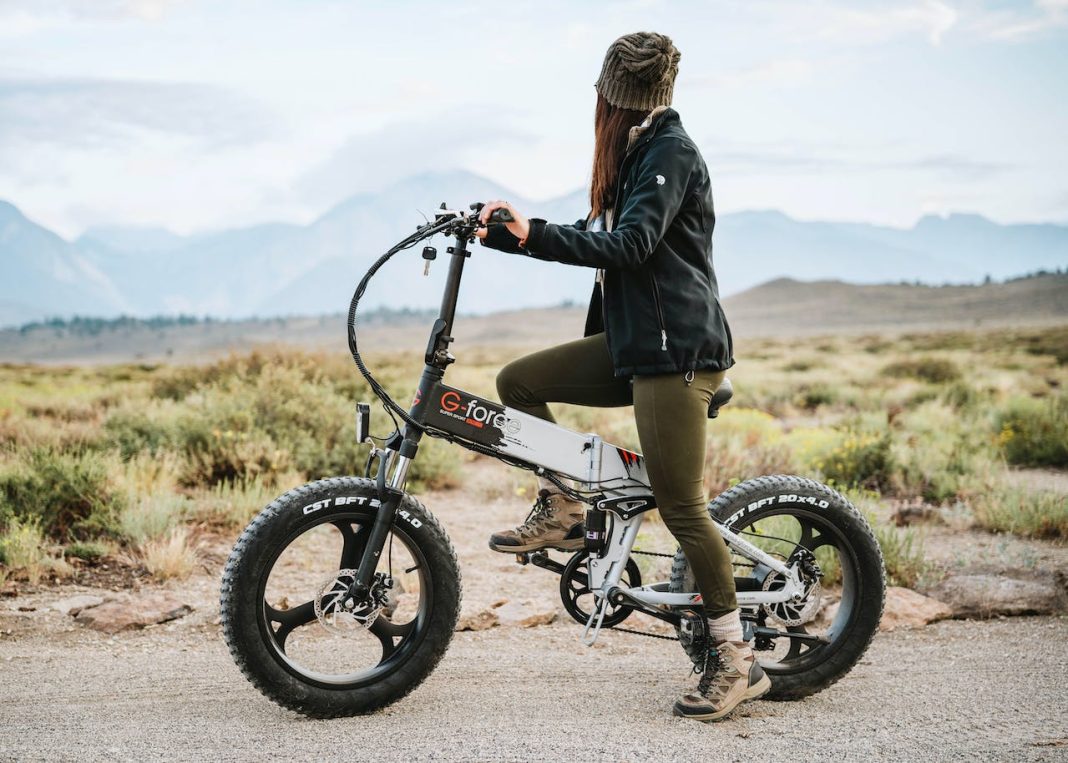 vélo électrique occasion
