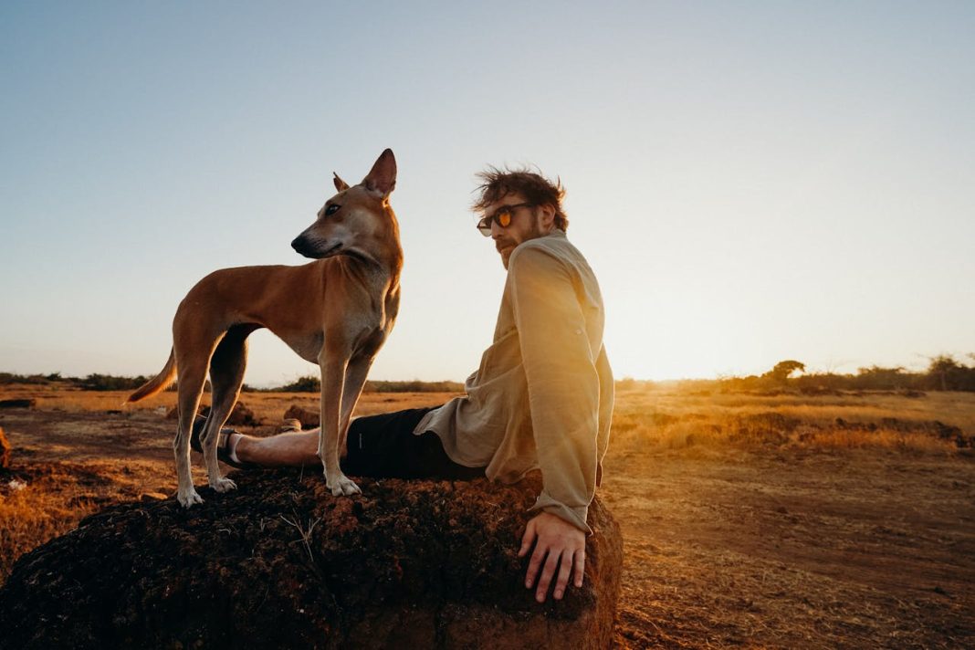 Comment choisir des lunettes de soleil de luxe pour homme ?